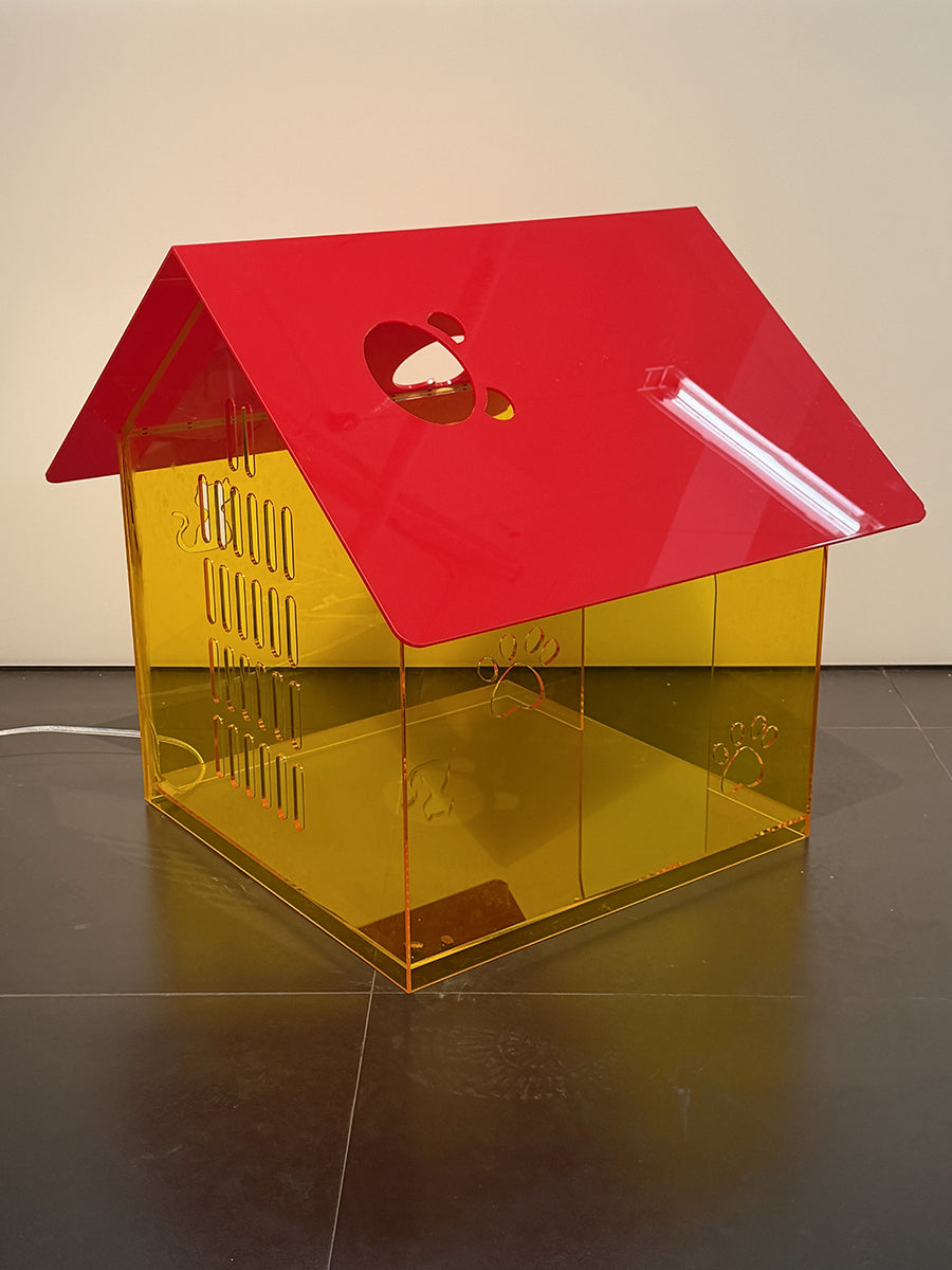 LED Acrylic House Cat House