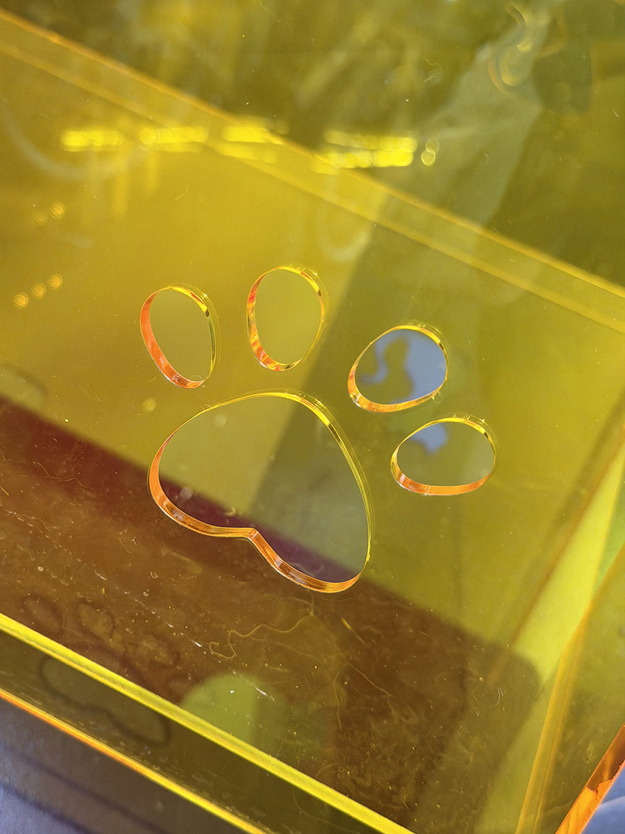 LED Acrylic House Cat House